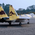 freewing-su-35-desert-camo-1