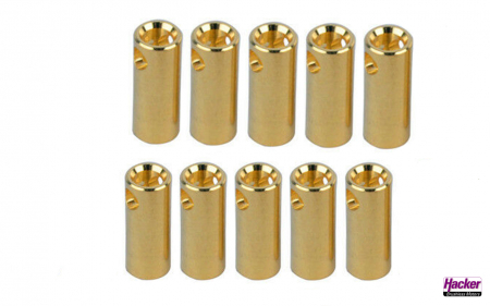 Goldbuchse-5-5mm-10er-Pack-17874314_b_0
