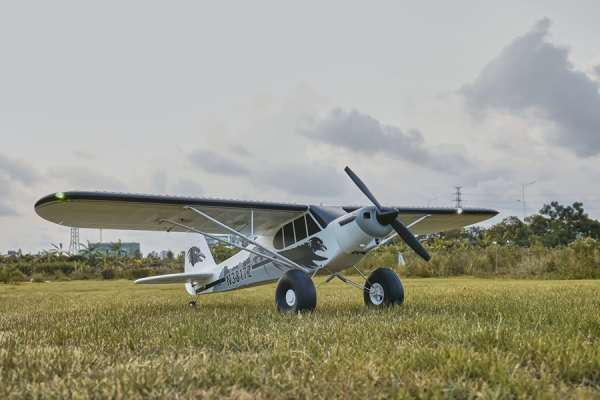 Piper Pa-18-N8