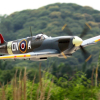 FLW303P-3-jpg FLW303P-3.jpg
