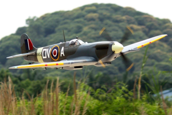 FLW303P-3-jpg FLW303P-3.jpg
