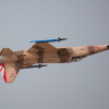 Freewing_F-5_Camo_30