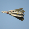 Freewing_F-14_48