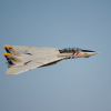 Freewing_F-14_49
