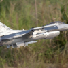 Freewing_F-16_grey_19.jpg