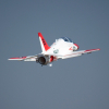 Freewing_T-45_27-jpg Freewing_T-45_27.jpg