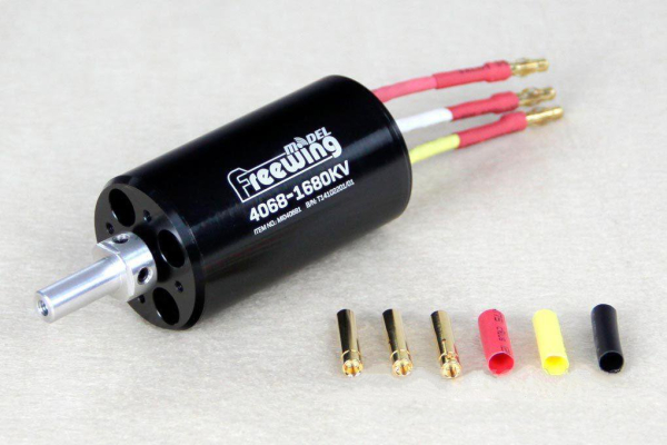 Freewing-MI04068.jpg