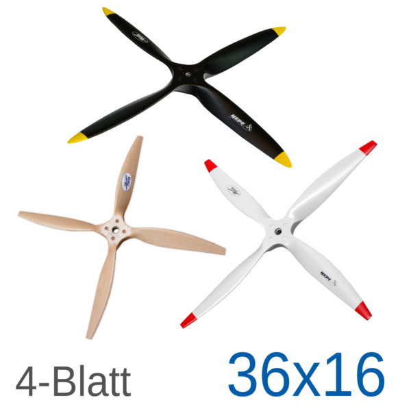 Fiala-4-Blatt_40.jpg