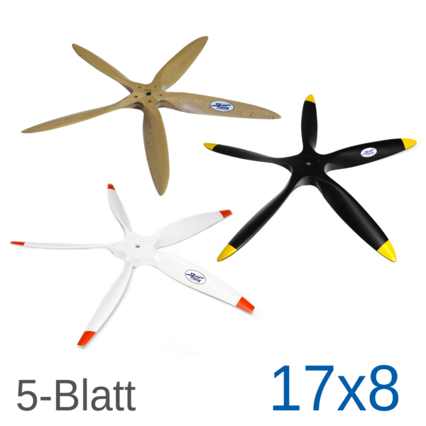 Fiala-5-Blatt_24.jpg