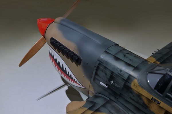 P40_6