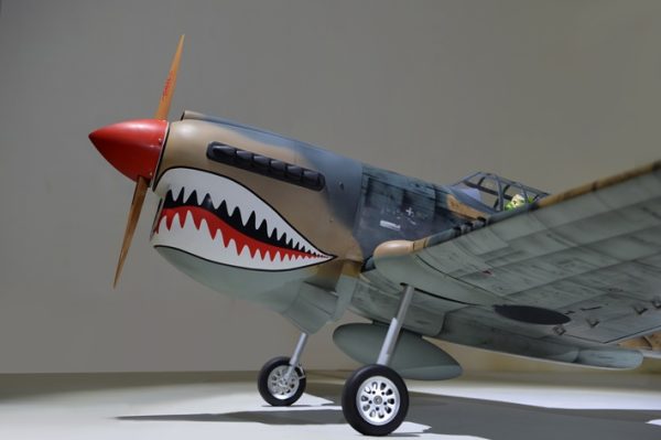 P40_8