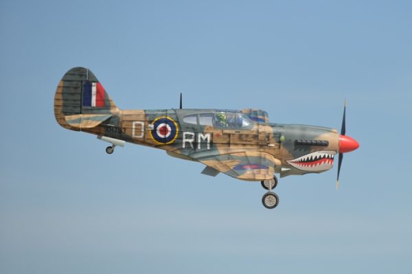 P40_19