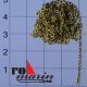 Ankerkette-Ms-Typ-F50-1M-ro1309_b_0