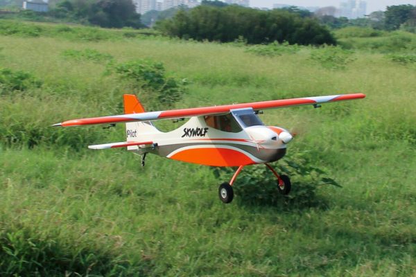 Pilot-RC-Skywolf-29-1024x683
