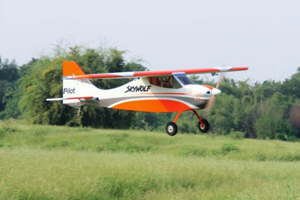Pilot-RC-Skywolf-29-1024x683