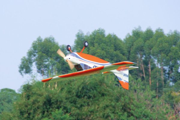 Pilot-RC-Skywolf-29-1024x683
