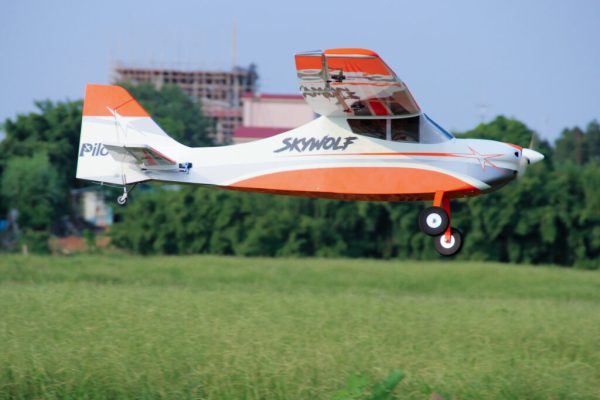Pilot-RC-Skywolf-29-1024x683