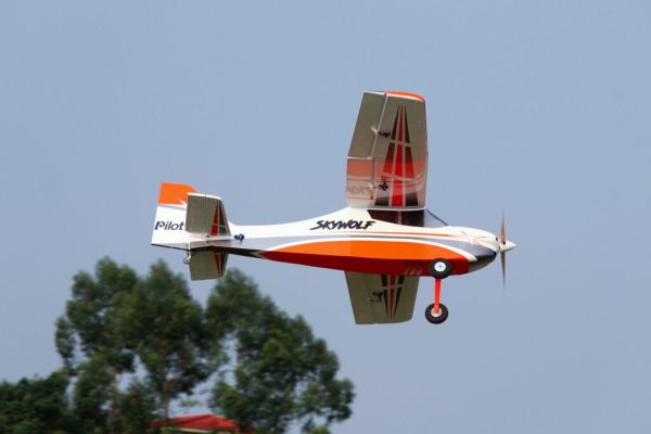Pilot-RC-Skywolf-29-1024x683