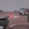 Curtiss Warhark6 Curtiss Warhark6