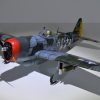 P47 Tunderbold 1