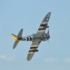 P47 Tunderbold 19