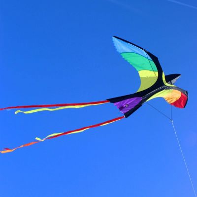 wolkenstuermer-kinderdrachen-bonny-bird-kinderdrachen-vogel-am-himmel_400x400.jpg