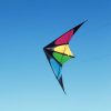 wolkenstuermer_lenkdrachen_sprinter_strand_001_400x400.jpg