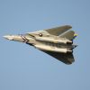 Freewing_F-14_48