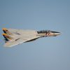 Freewing_F-14_49