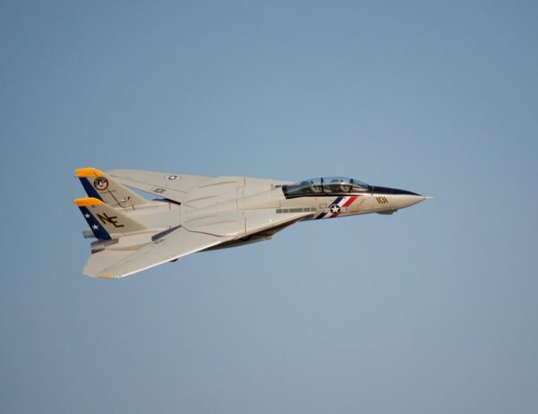 Freewing_F-14_49