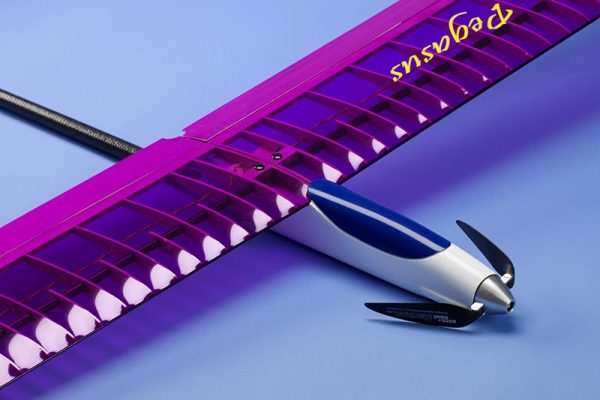 pegasusV2