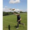 1-00900-multiplex-lentus-11