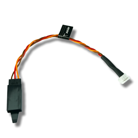 PhotoRoom-20220725_140912