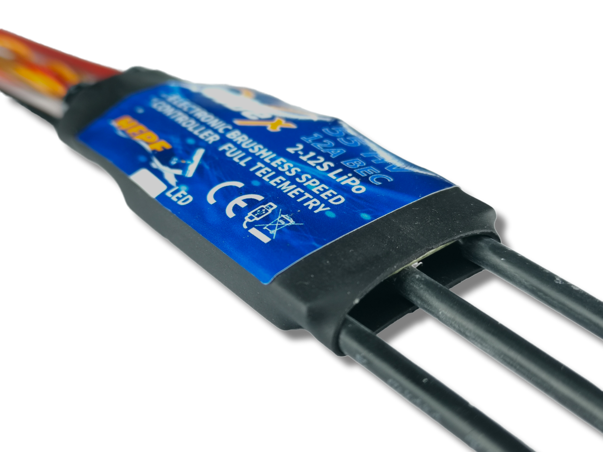 PhotoRoom-20220927_115346