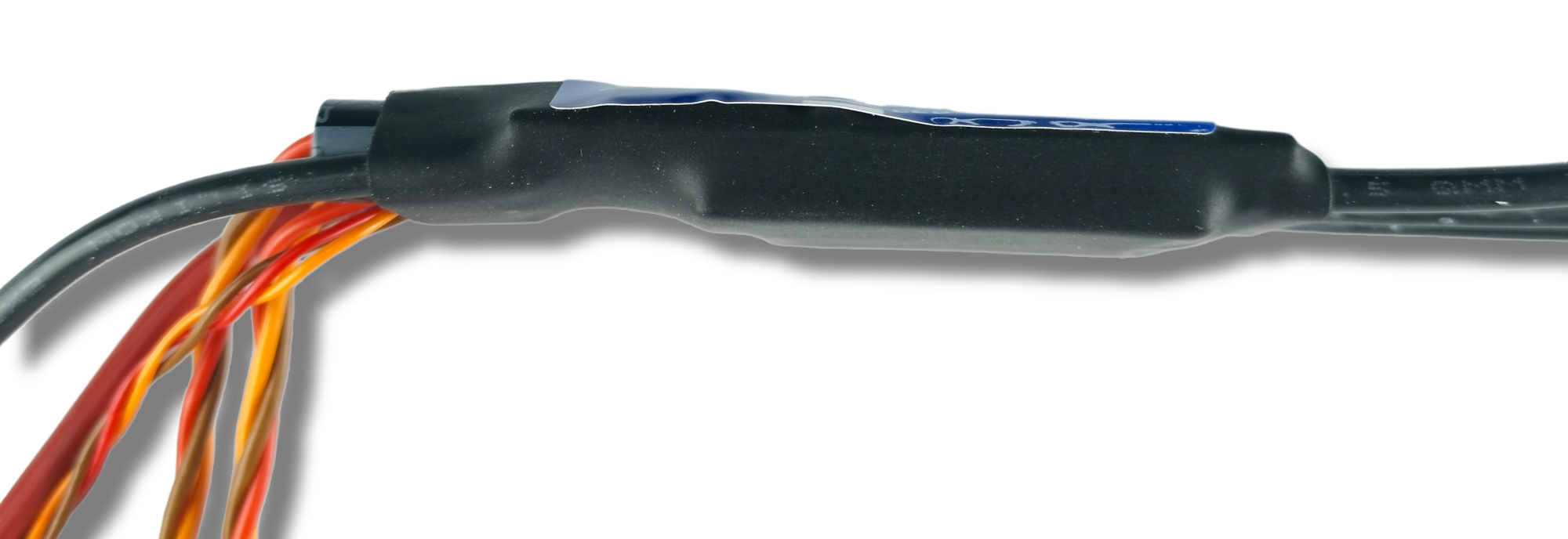 PhotoRoom-20220927_115442