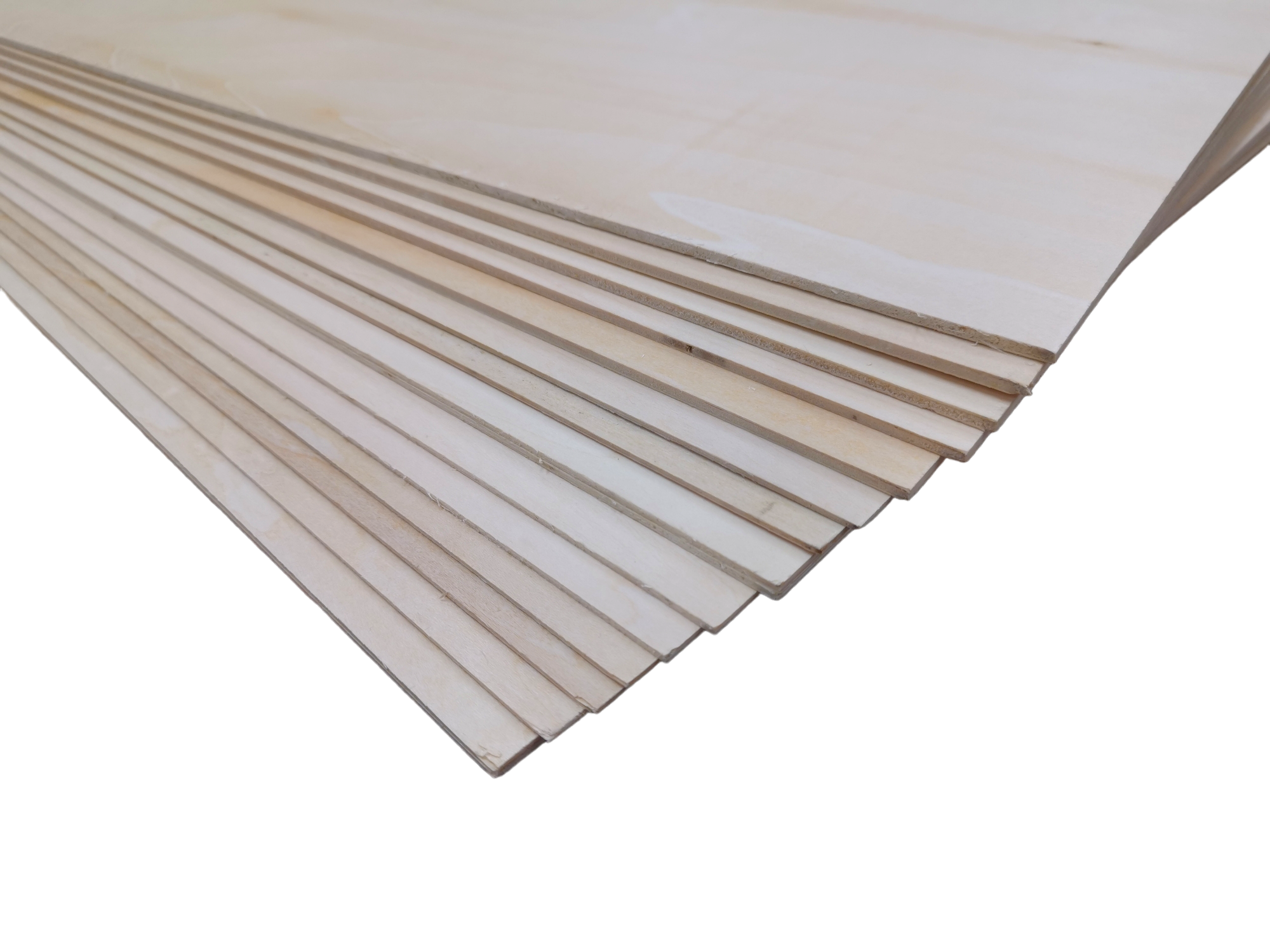 PhotoRoom-20230209_075421