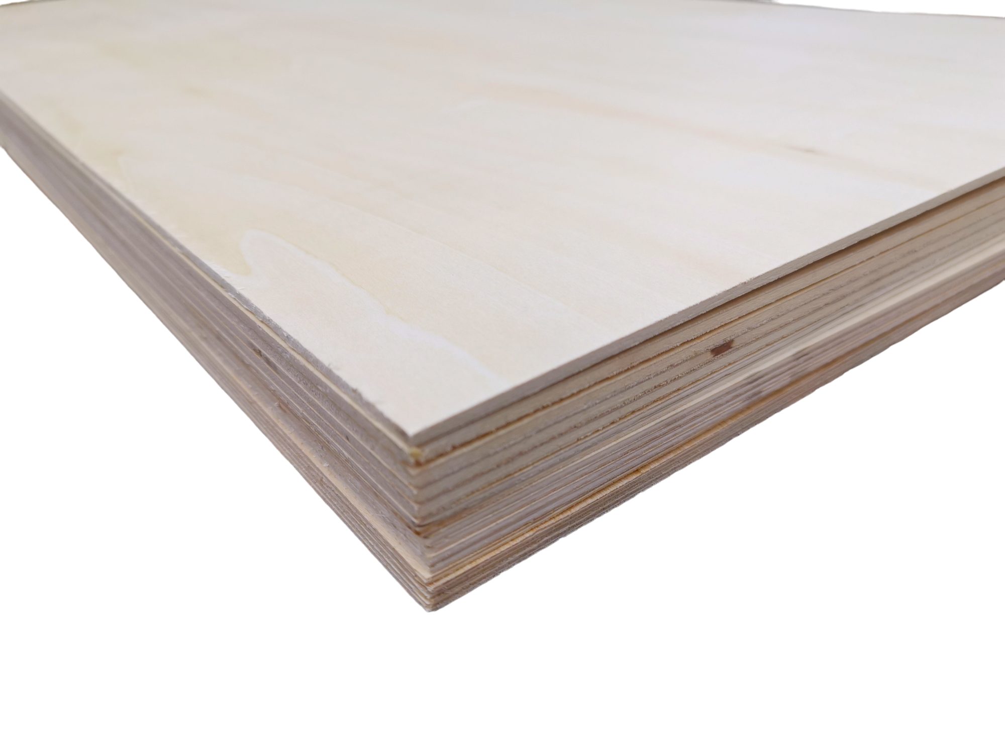 PhotoRoom-20230209_075209