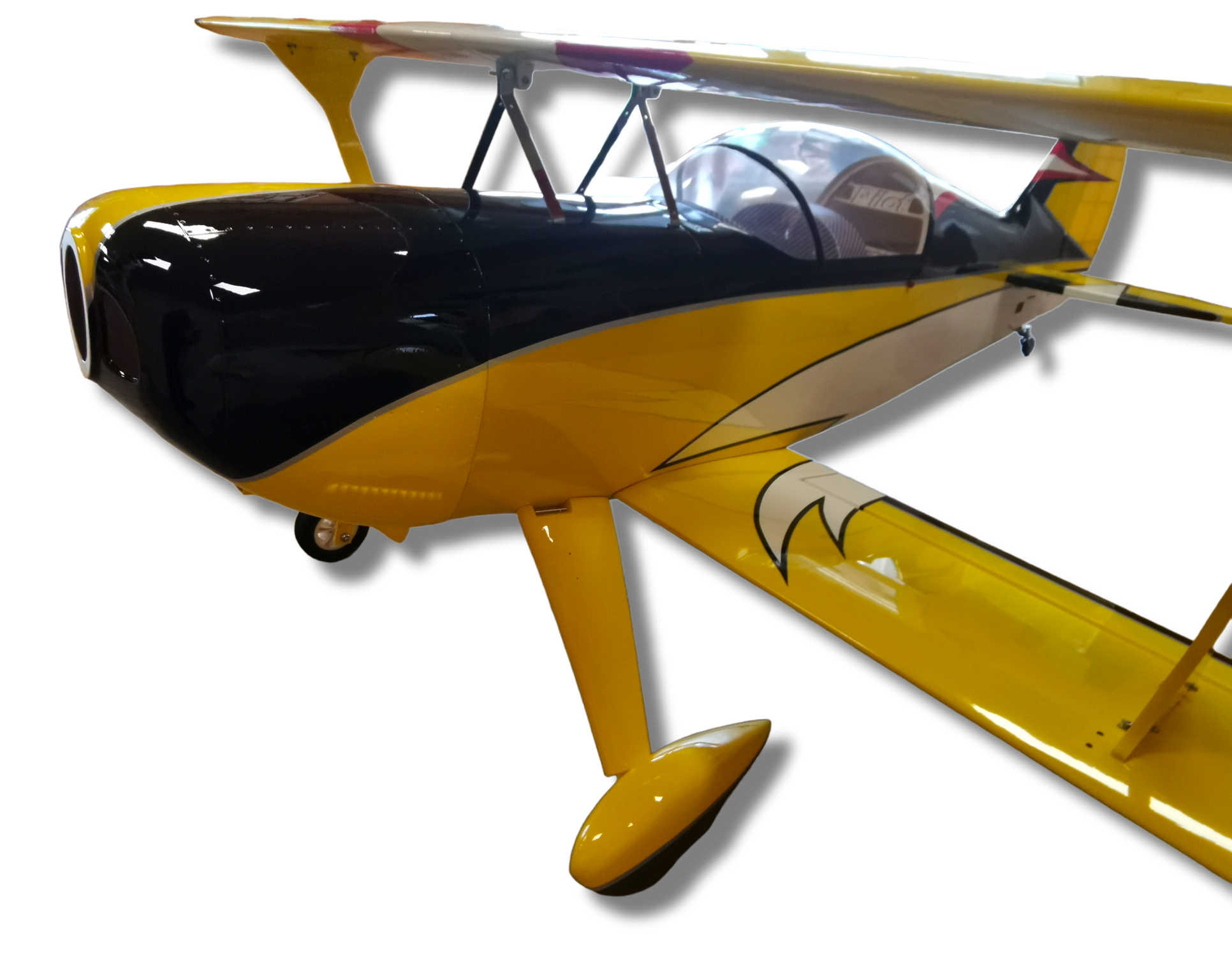 PhotoRoom-20221215_095805