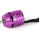 A20-20-L-Competition-kv1022-10109589_b_0