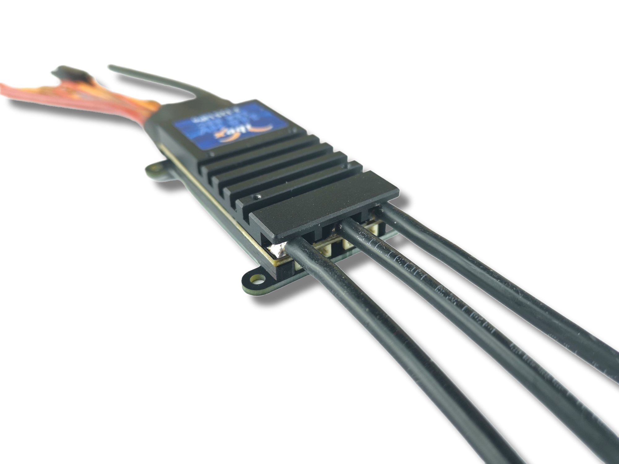 PhotoRoom-20221005_071614