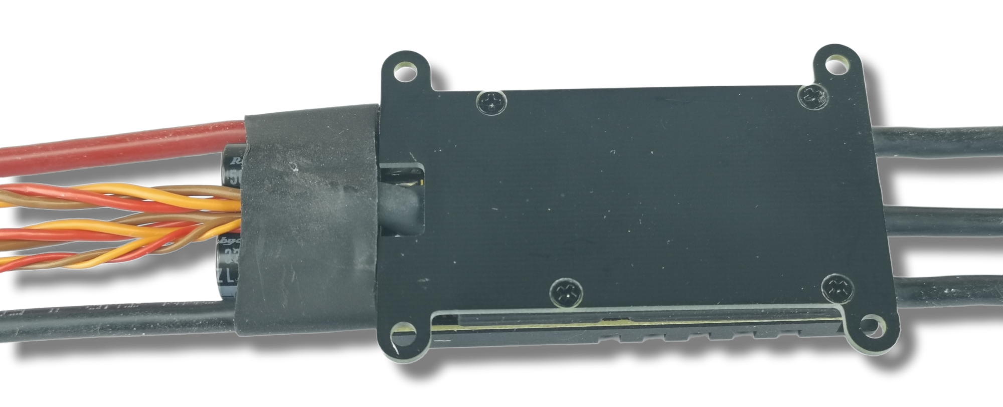 PhotoRoom-20221005_071654