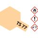 ts-77-fleischfarben-matt-100ml-300085077_00