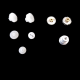 IMG_386349854601778019[1].png