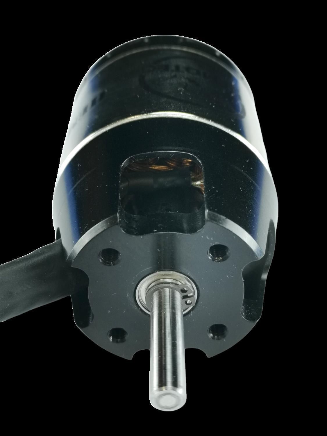 PhotoRoom-20220310_140819