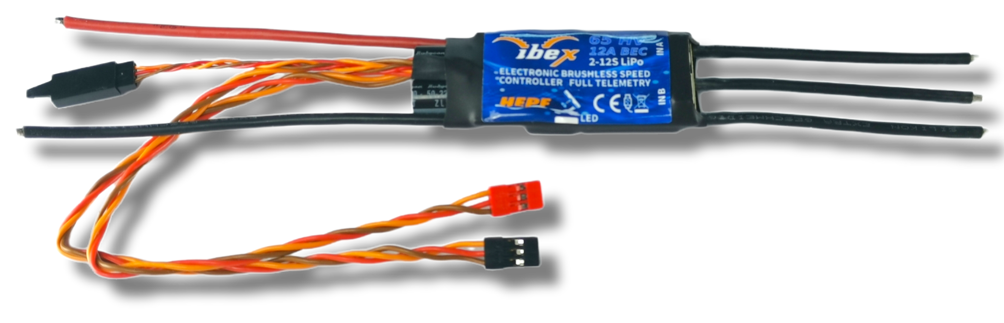 PhotoRoom-20220825_071546