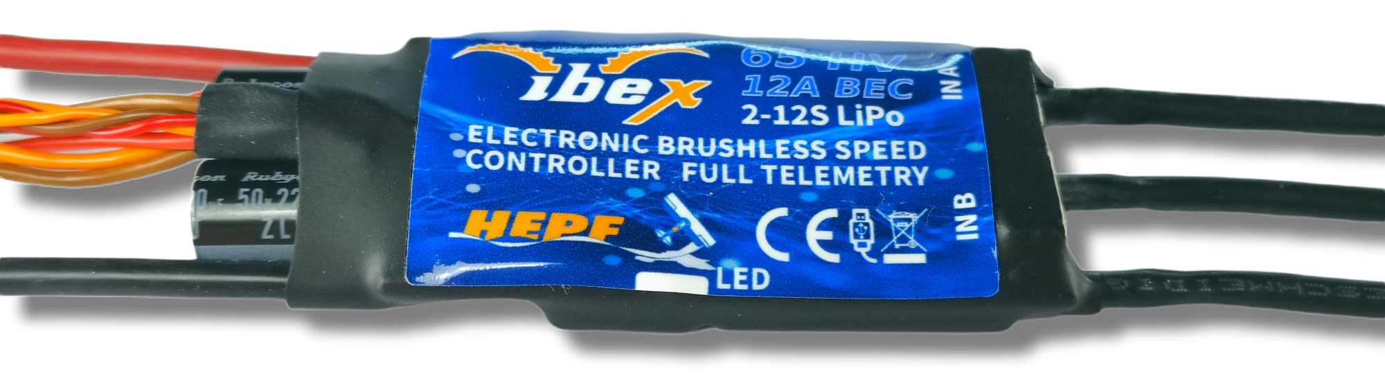 PhotoRoom-20220825_071636