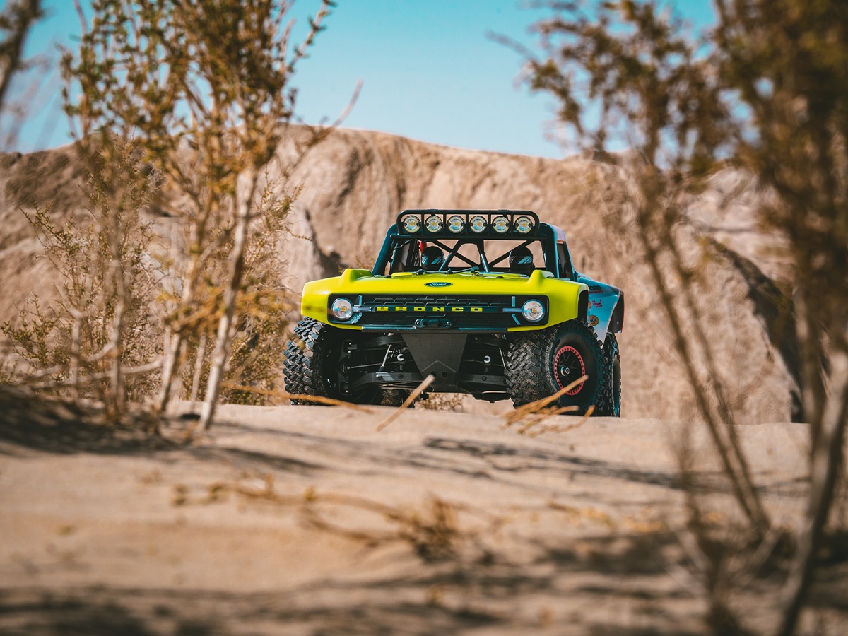 7c335806fec6bd54b9d9c5a684efba00