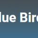 blue-bird