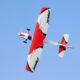 Pilot-RC-Skywolf-29-1024x683