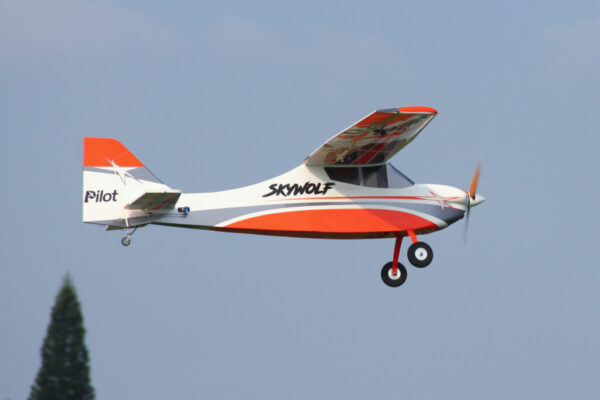 Pilot-RC-Skywolf-29-1024x683